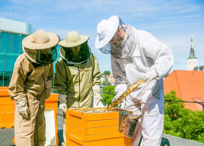 Hotel Nordic Forum 4*